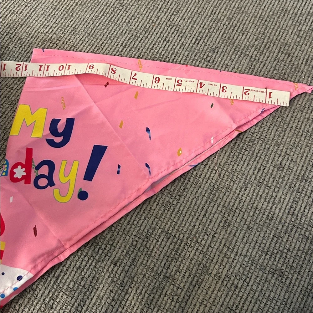 Pink Dog Birthday Bandana and Party Hat Set NEW celebrate